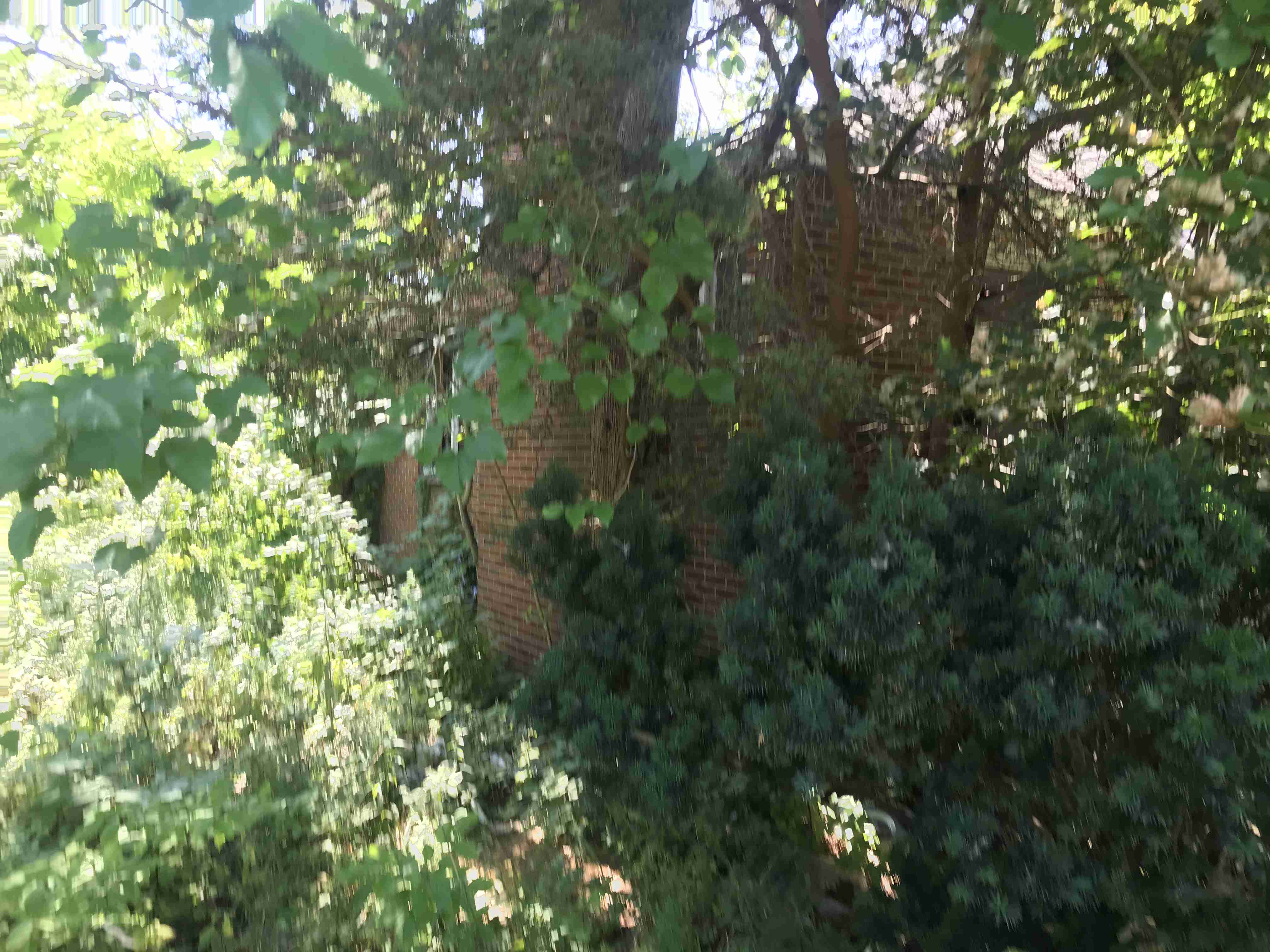 Photo Aug 21, 1 13 19 PM (1).jpg